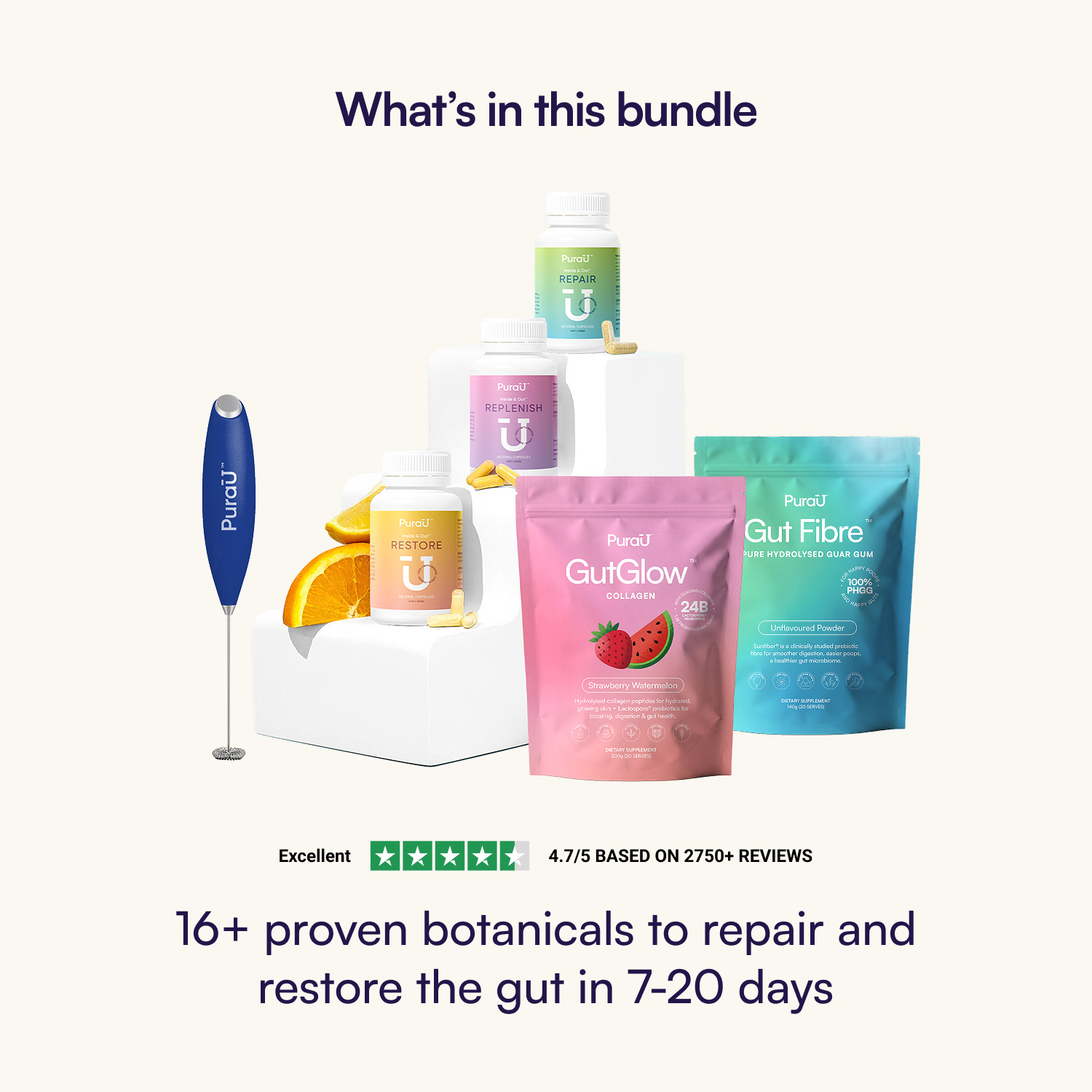 Gut Repair Kit™