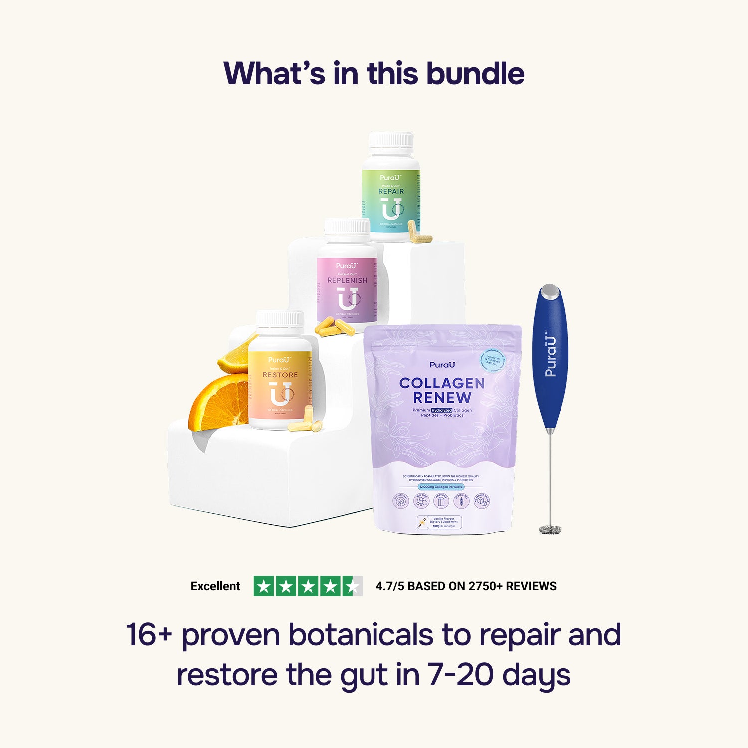Gut Repair Kit™