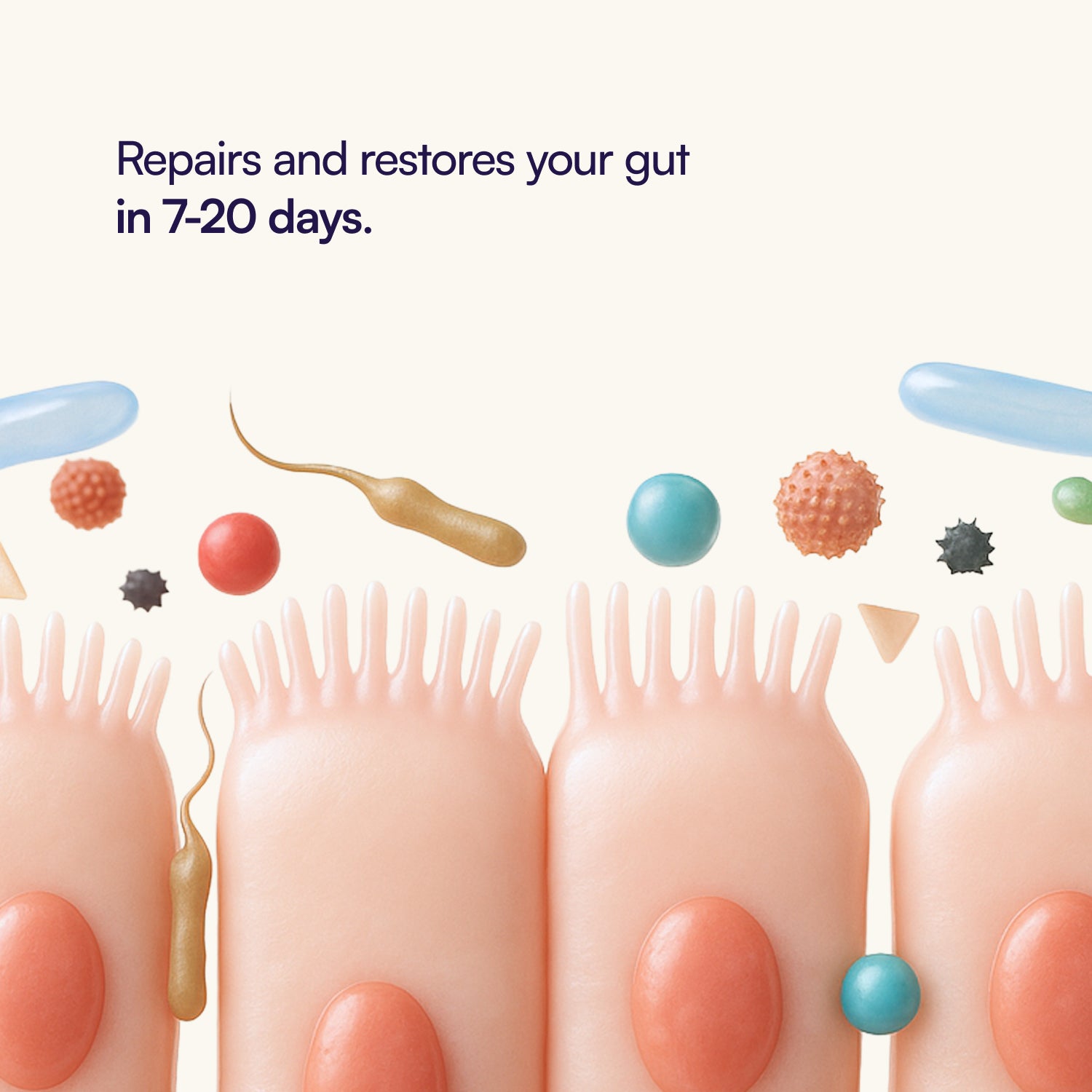 Gut Repair Kit™